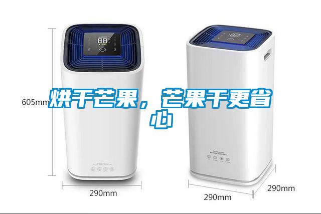 烘干芒果，芒果干更省心