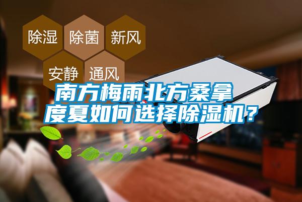 南方梅雨北方桑拿 度夏如何選擇除濕機(jī)？