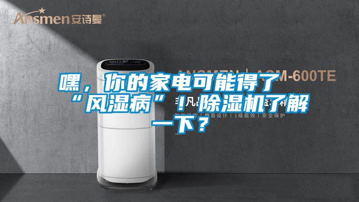 嘿，你的家電可能得了“風濕病”！除濕機了解一下？