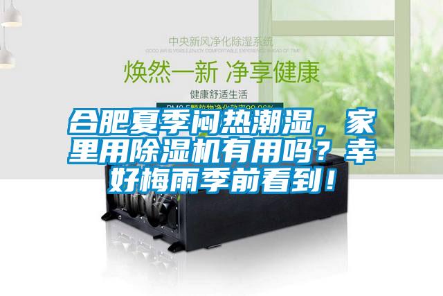合肥夏季悶熱潮濕，家里用除濕機(jī)有用嗎？幸好梅雨季前看到！