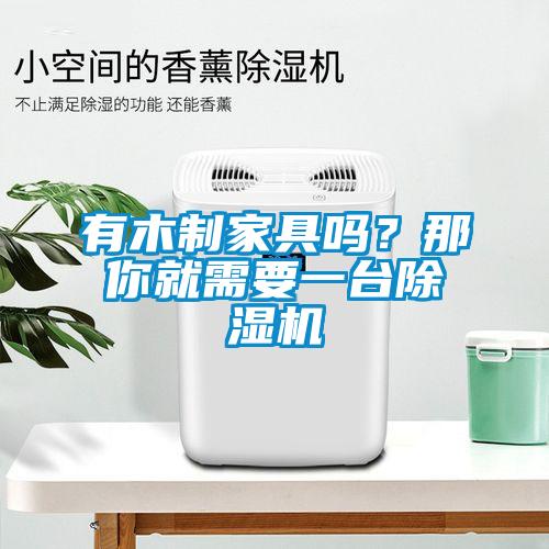 有木制家具嗎？那你就需要一臺除濕機