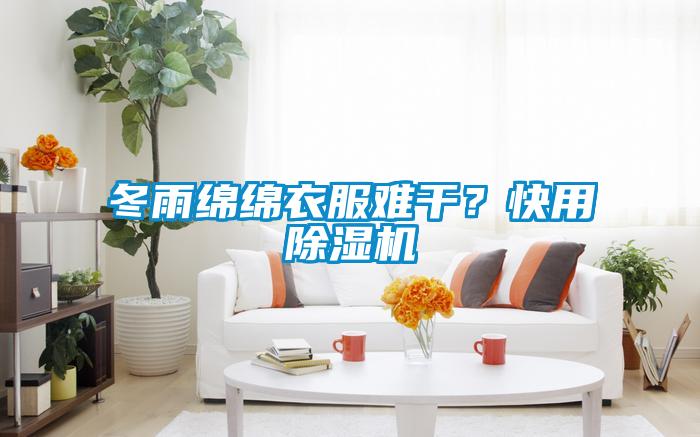 冬雨綿綿衣服難干？快用除濕機
