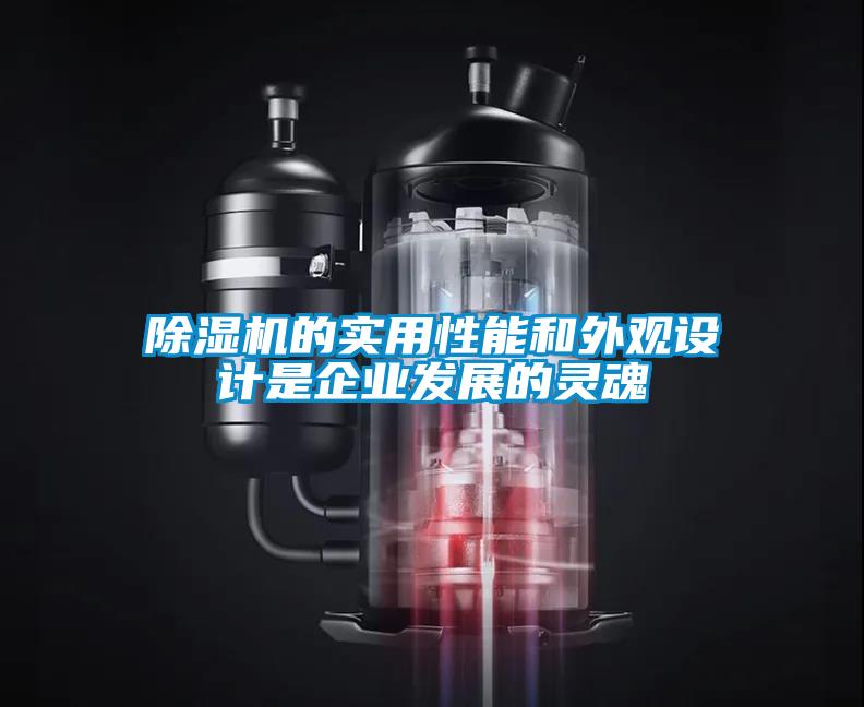 除濕機的實用性能和外觀設計是企業(yè)發(fā)展的靈魂