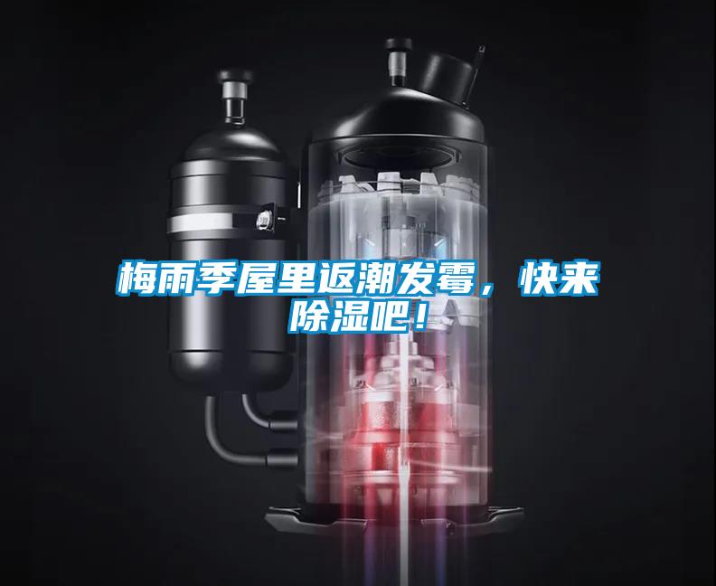 梅雨季屋里返潮發(fā)霉，快來除濕吧！