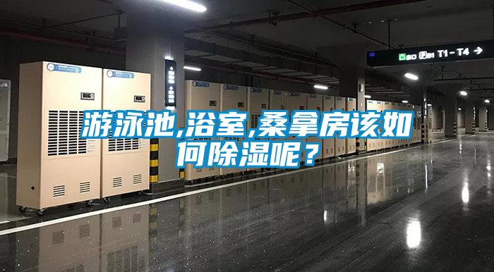 游泳池,浴室,桑拿房該如何除濕呢？
