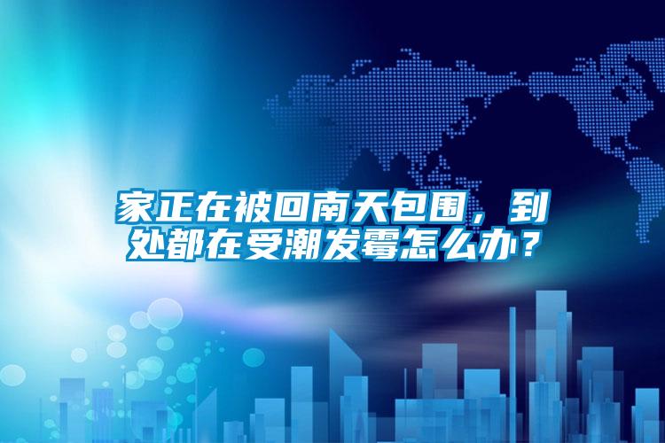 家正在被回南天包圍，到處都在受潮發(fā)霉怎么辦？