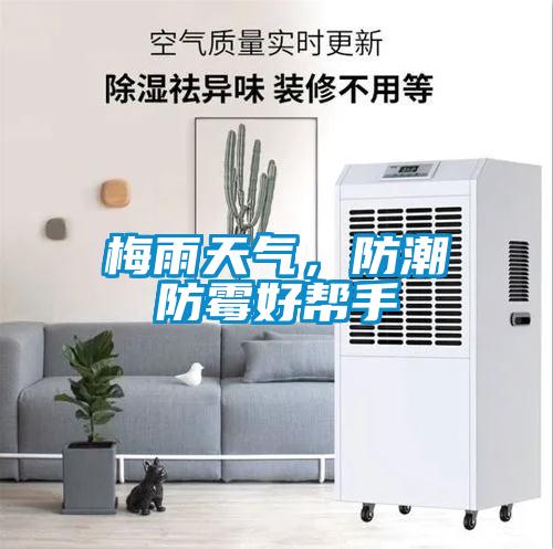 梅雨天氣，防潮防霉好幫手