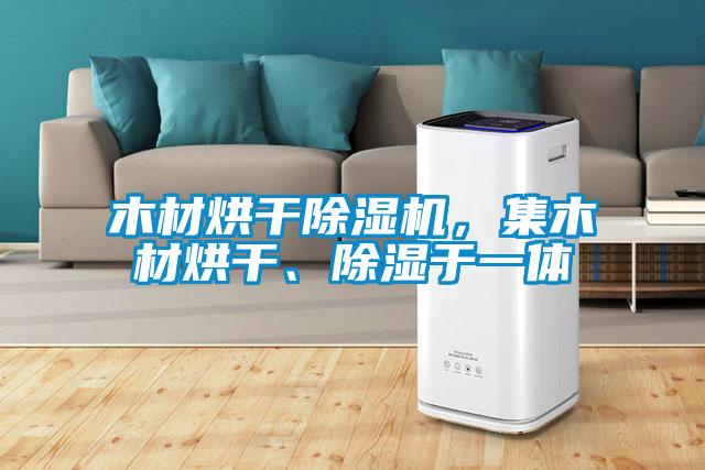 木材烘干除濕機(jī)，集木材烘干、除濕于一體
