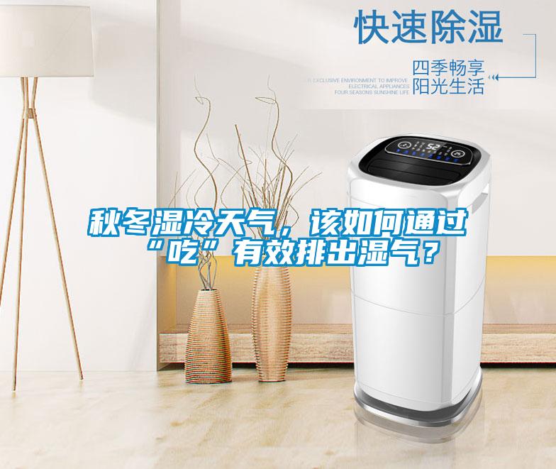 秋冬濕冷天氣，該如何通過“吃”有效排出濕氣？