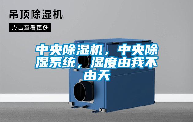 中央除濕機，中央除濕系統(tǒng)，濕度由我不由天