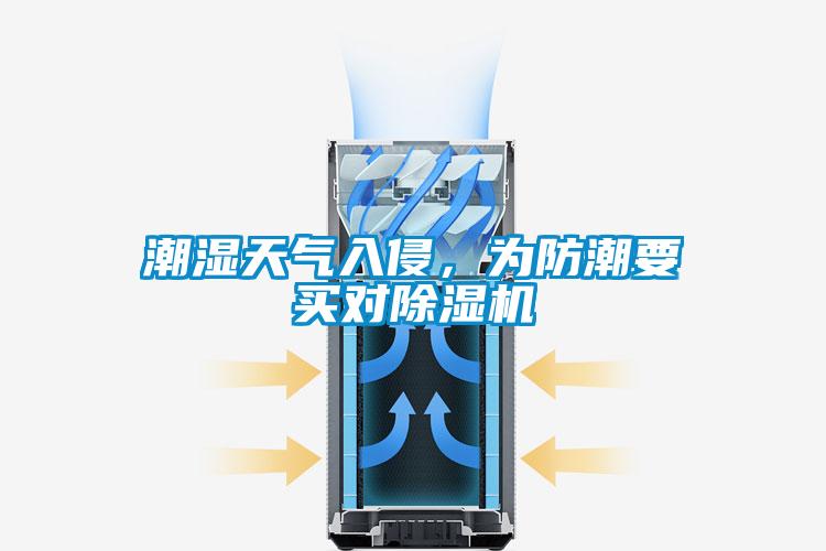 潮濕天氣入侵，為防潮要買對除濕機