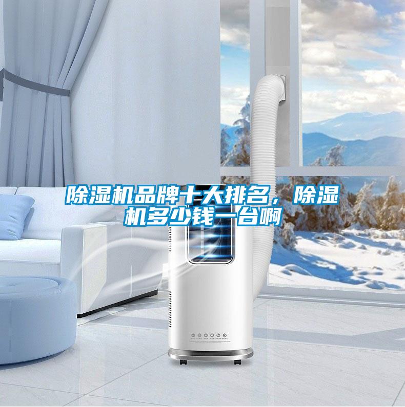除濕機品牌十大排名，除濕機多少錢一臺啊