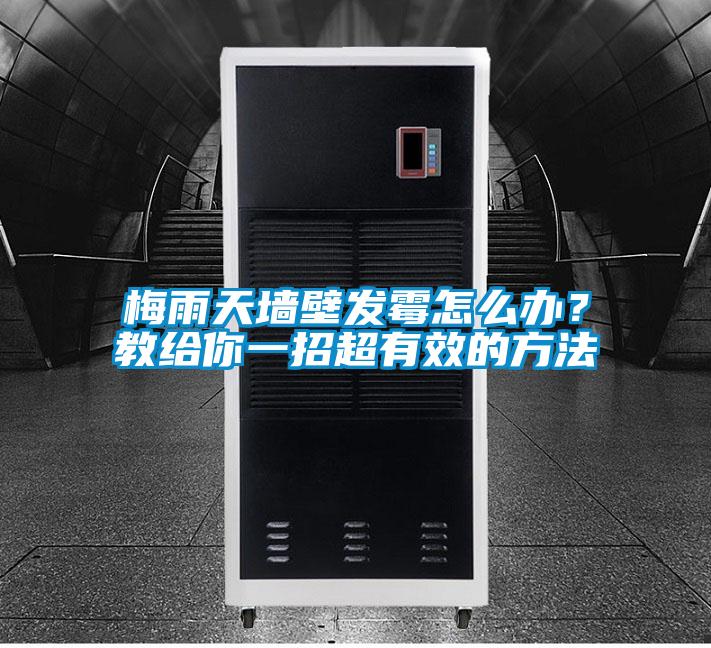 梅雨天墻壁發(fā)霉怎么辦？教給你一招超有效的方法
