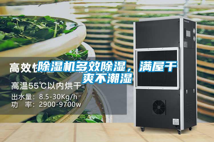 除濕機(jī)多效除濕，滿屋干爽不潮濕