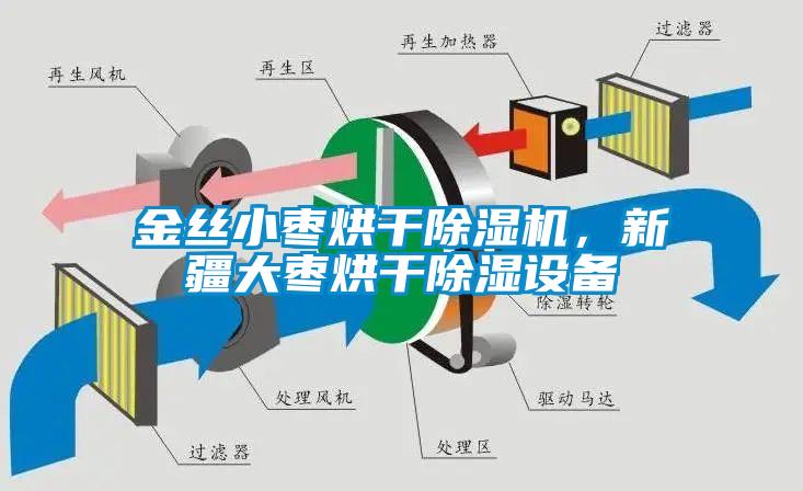 金絲小棗烘干除濕機(jī)，新疆大棗烘干除濕設(shè)備