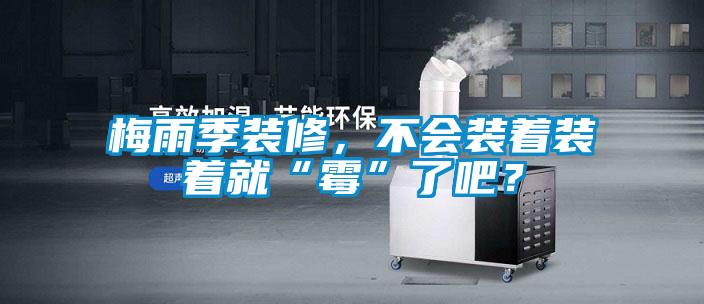 梅雨季裝修，不會裝著裝著就“霉”了吧？