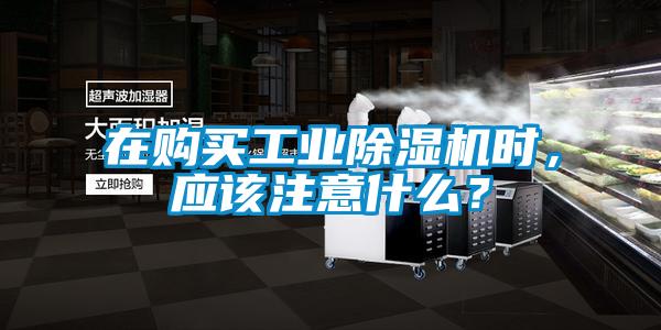在購買工業(yè)除濕機(jī)時(shí)，應(yīng)該注意什么？