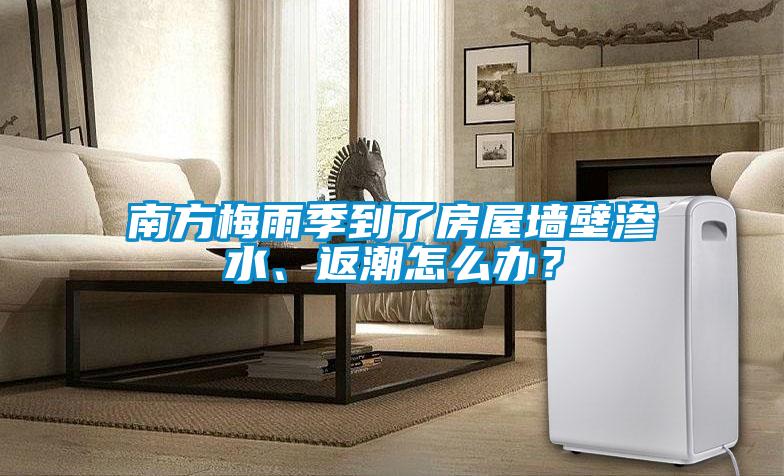 南方梅雨季到了房屋墻壁滲水、返潮怎么辦？