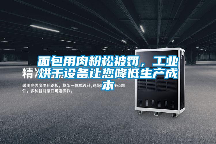 面包用肉粉松被罰，工業(yè)烘干設(shè)備讓您降低生產(chǎn)成本