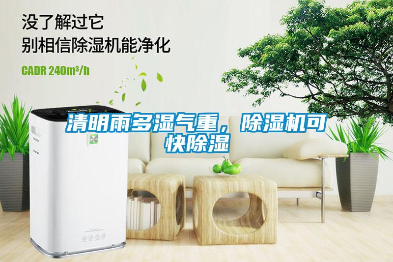 清明雨多濕氣重，除濕機可快除濕