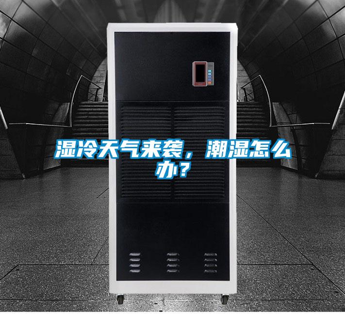 濕冷天氣來襲，潮濕怎么辦？