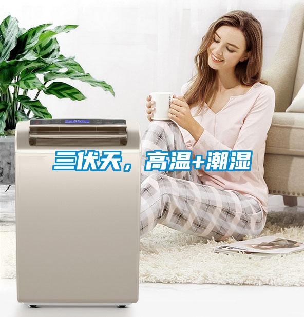 三伏天，高溫+潮濕