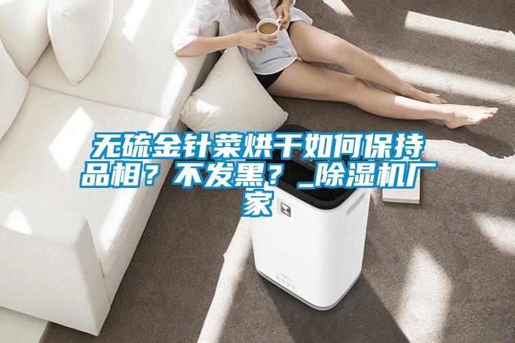 無硫金針菜烘干如何保持品相？不發(fā)黑？_除濕機廠家