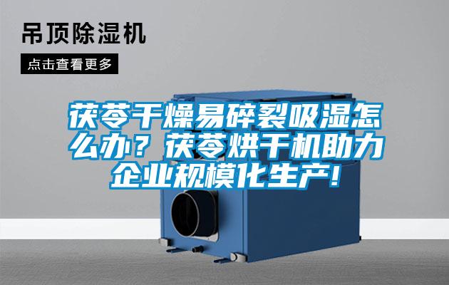 茯苓干燥易碎裂吸濕怎么辦？茯苓烘干機(jī)助力企業(yè)規(guī)?；a(chǎn)!