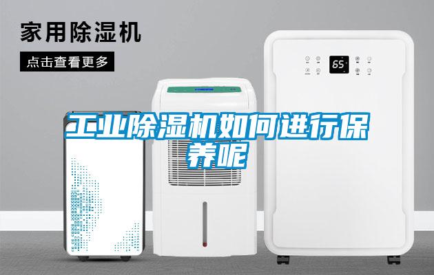 工業(yè)除濕機如何進行保養(yǎng)呢