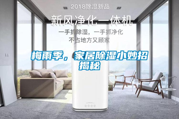 梅雨季，家居除濕小妙招揭秘