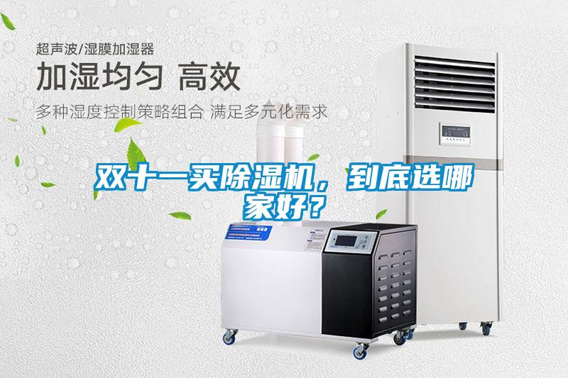 雙十一買除濕機，到底選哪家好？