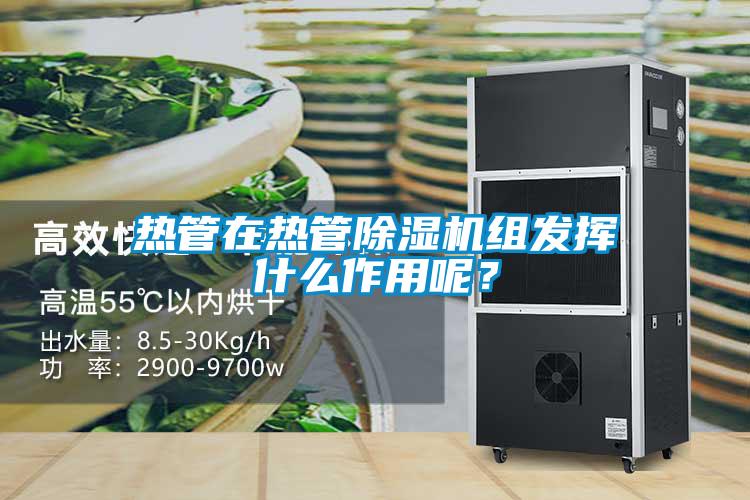 熱管在熱管除濕機組發(fā)揮什么作用呢？