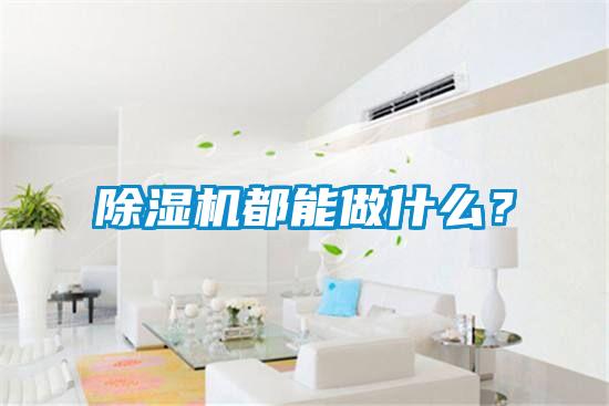 除濕機都能做什么？