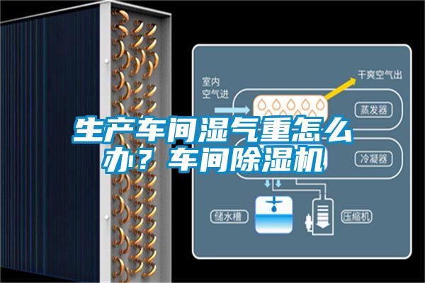 生產(chǎn)車間濕氣重怎么辦？車間除濕機(jī)