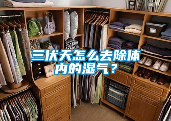 三伏天怎么去除體內(nèi)的濕氣？
