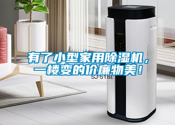 有了小型家用除濕機(jī)，一樓變的價(jià)廉物美！