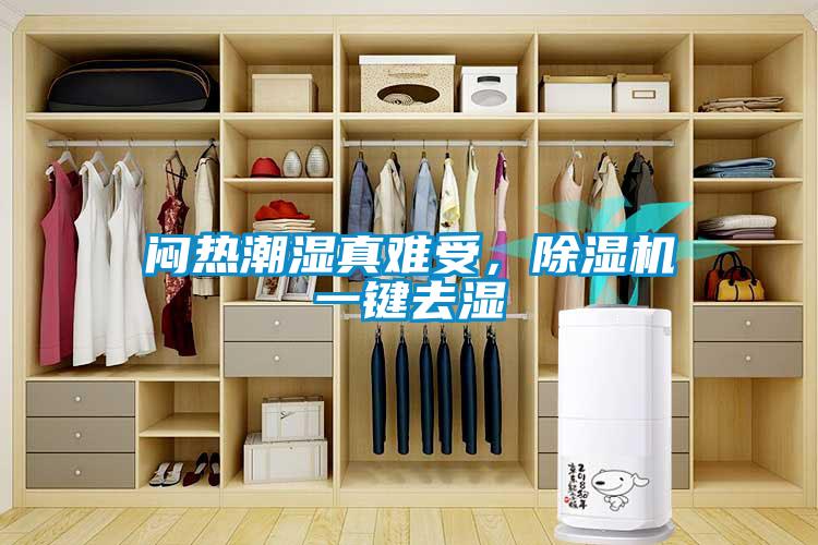 悶熱潮濕真難受，除濕機(jī)一鍵去濕