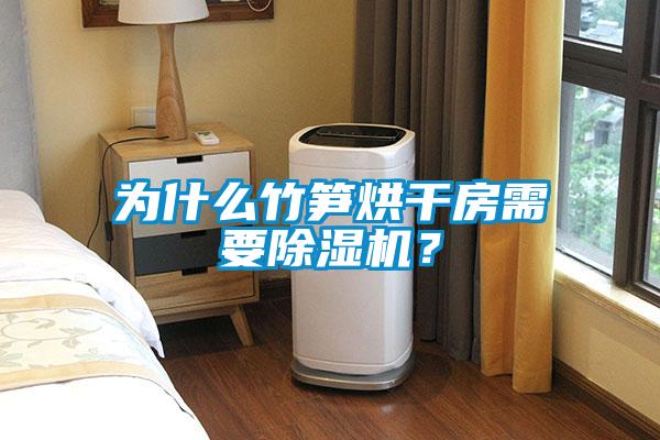 為什么竹筍烘干房需要除濕機(jī)？