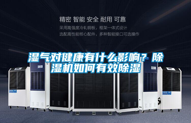濕氣對(duì)健康有什么影響？除濕機(jī)如何有效除濕