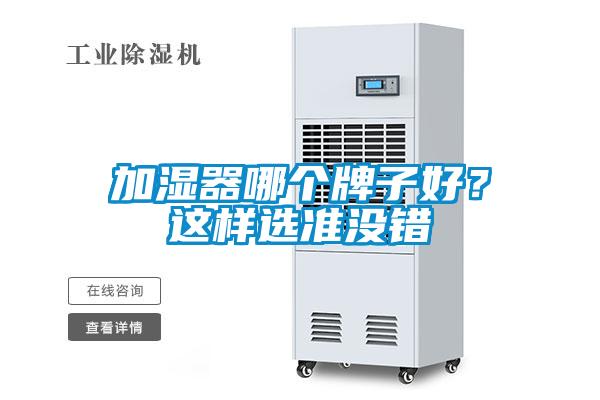 加濕器哪個牌子好？這樣選準沒錯