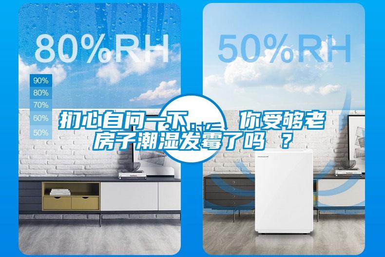 捫心自問(wèn)一下 ， 你受夠老房子潮濕發(fā)霉了嗎 ？