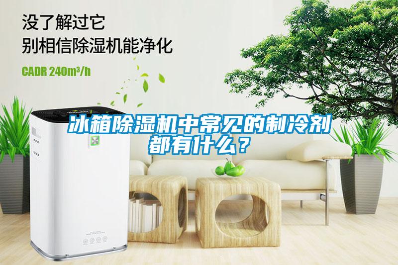 冰箱除濕機(jī)中常見的制冷劑都有什么？