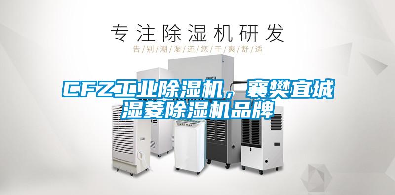 CFZ工業(yè)除濕機，襄樊宜城濕菱除濕機品牌