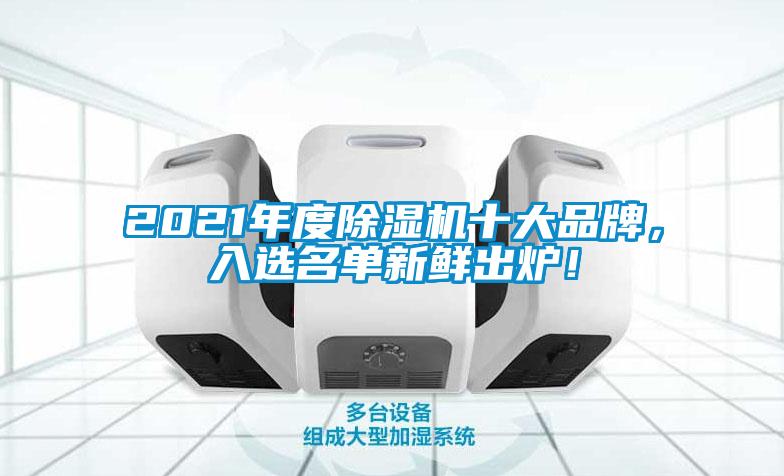 2021年度除濕機十大品牌，入選名單新鮮出爐！