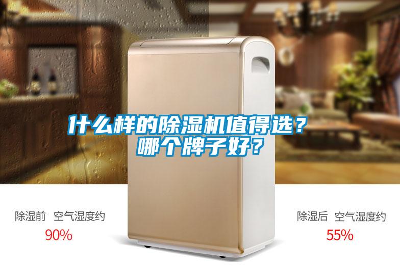 什么樣的除濕機(jī)值得選？ 哪個牌子好？