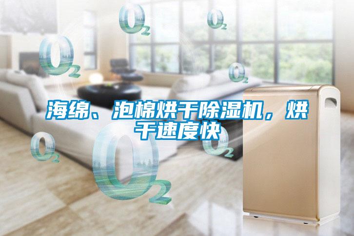 海綿、泡棉烘干除濕機，烘干速度快