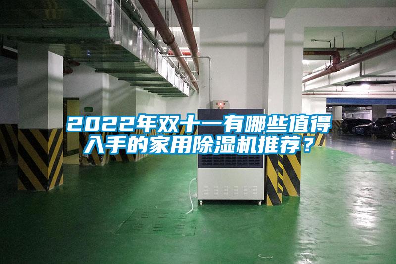 2022年雙十一有哪些值得入手的家用除濕機推薦？
