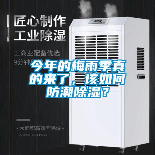 今年的梅雨季真的來(lái)了，該如何防潮除濕？