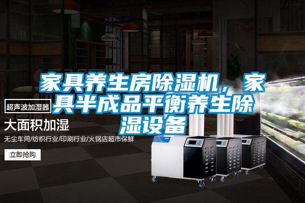 家具養(yǎng)生房除濕機，家具半成品平衡養(yǎng)生除濕設備