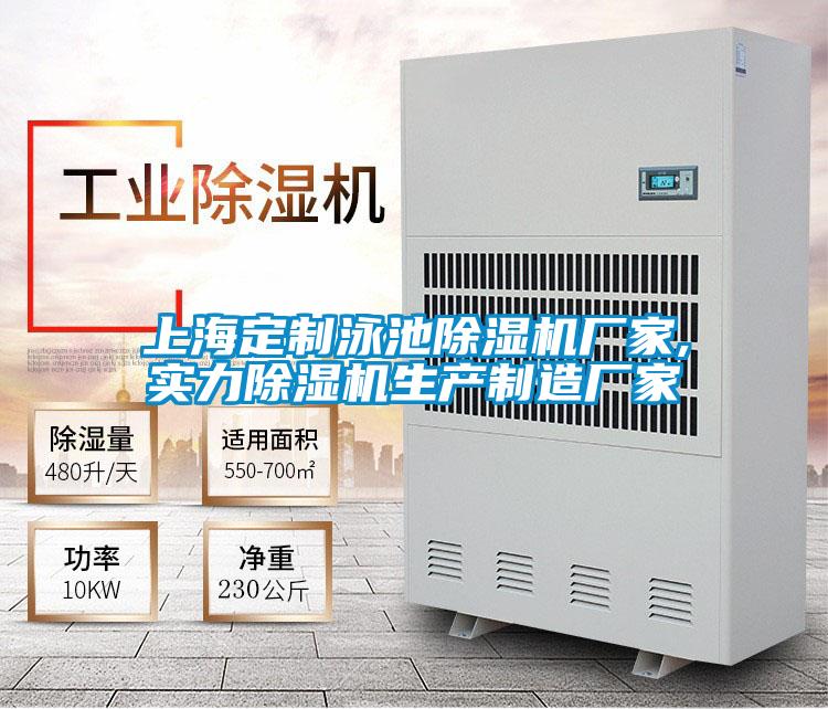 上海定制泳池除濕機(jī)廠家,實力除濕機(jī)生產(chǎn)制造廠家